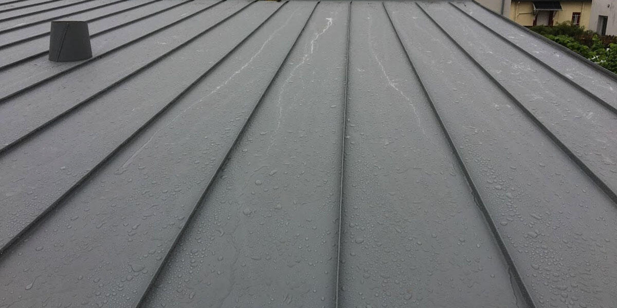 Réalisation d’une couverture en zinc assurant durabilité et esthétisme à Hasnon