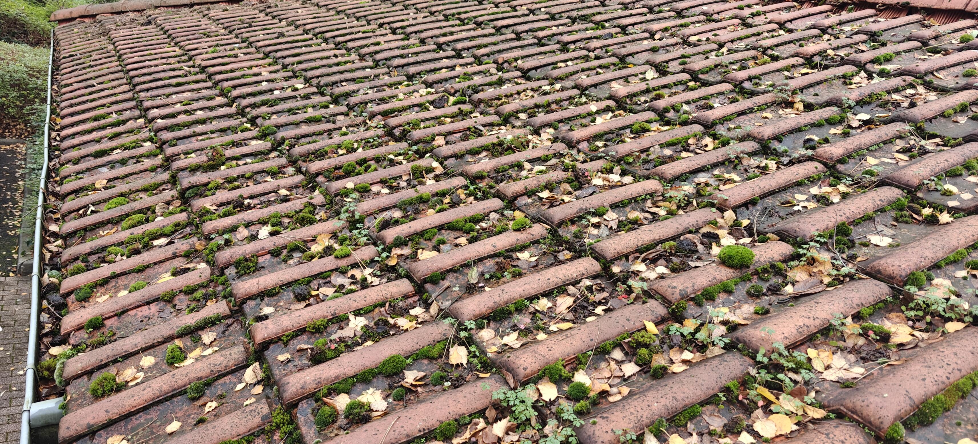 Dépannage de toiture en tuiles avec intervention sur la métropole lilloise