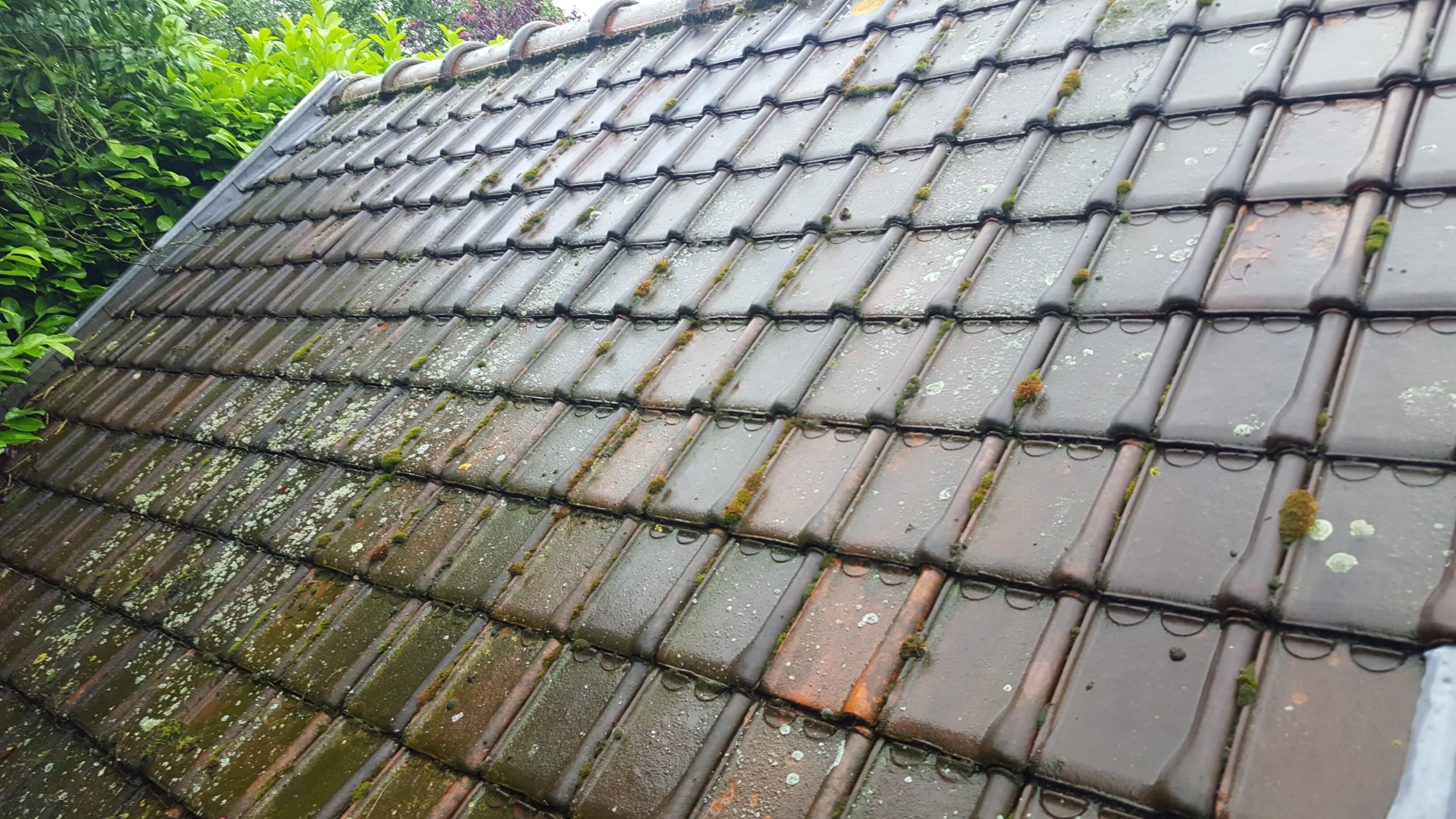 Réparation urgente de toiture en tuiles après intempéries à Templeuve-en-Pévèle