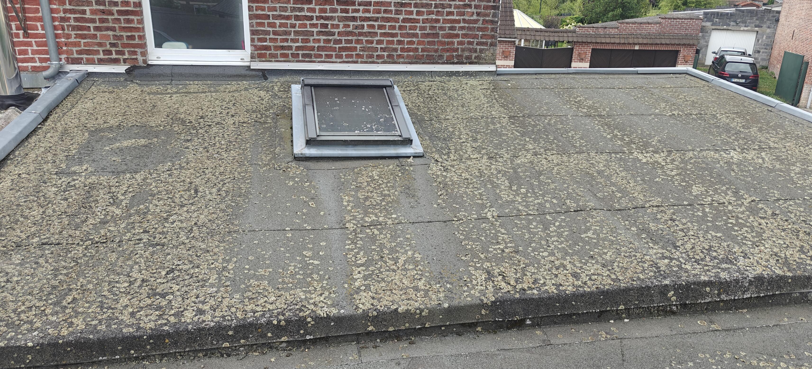 Nettoyage et démoussage de toiture pour préserver la couverture à Beuvrages