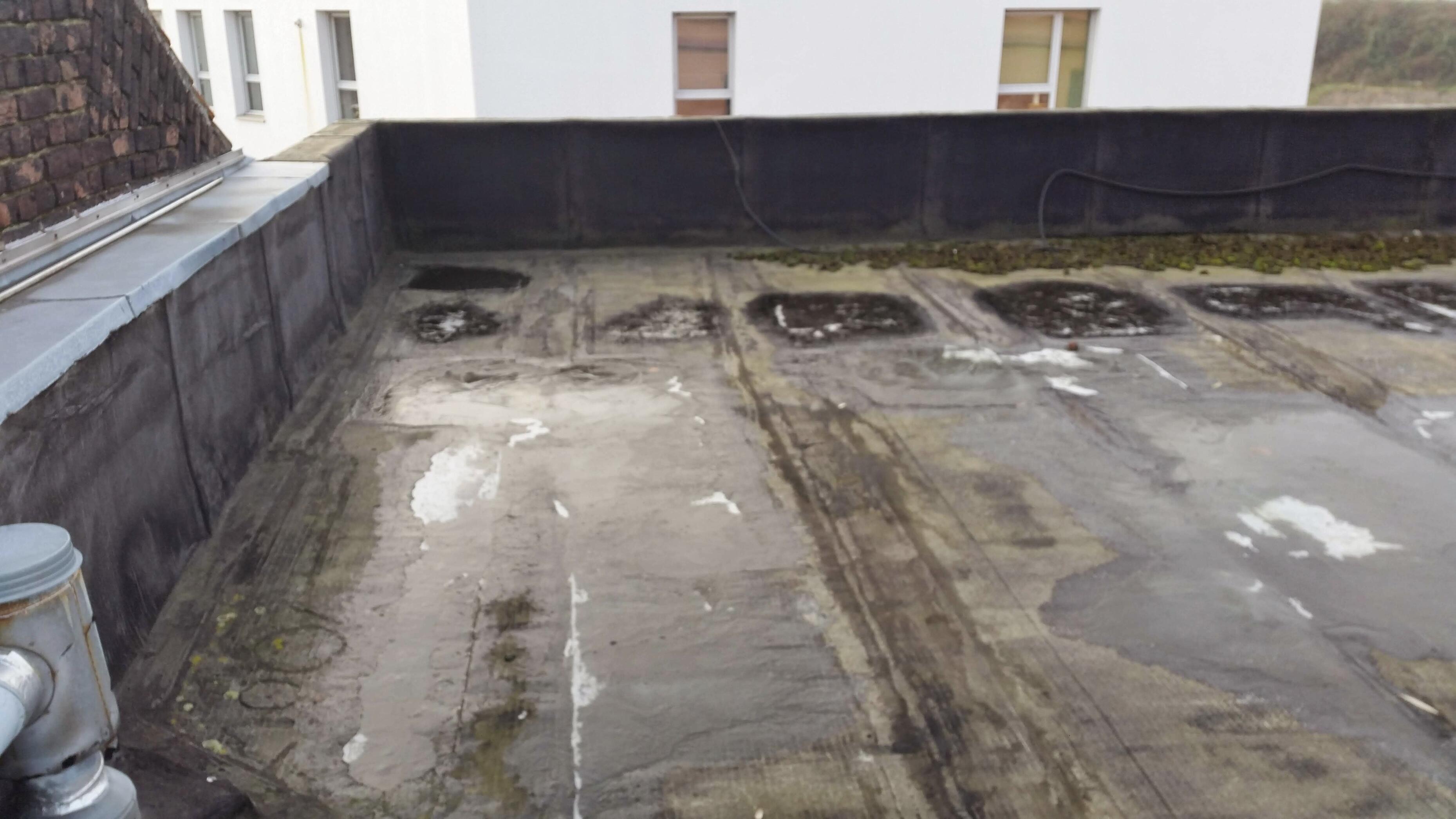 Nettoyage et démoussage de toiture pour prolonger la durée de vie de la couverture à Saint-Amand-les-Eaux